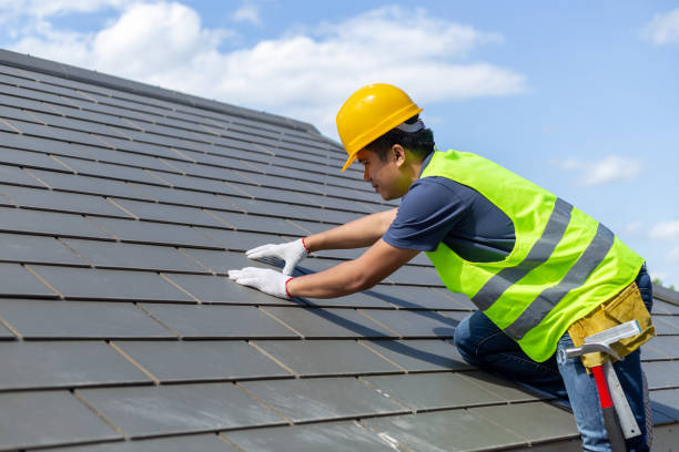 Best Shingle Roofing Installation  in Itta Bena, MS